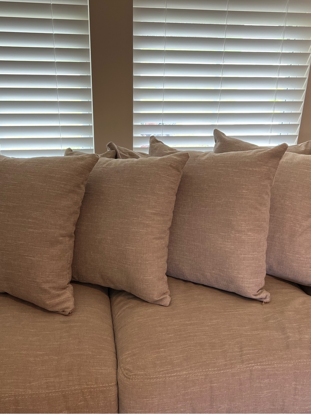 Neutral Tan Decorative Throw Pillow Set